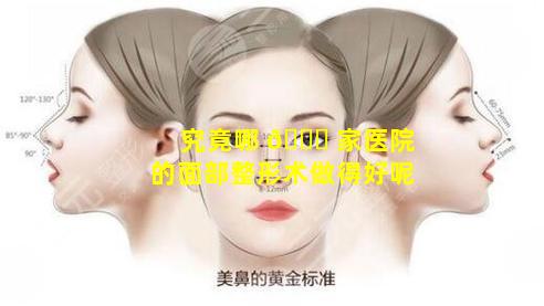 究竟哪 🐝 家医院的面部整形术做得好呢
